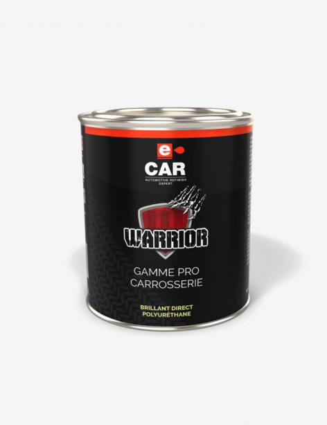 Peinture Warrior Teintable ECAR